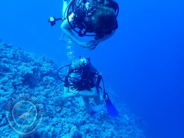 13-18 Mayıs Sharm
