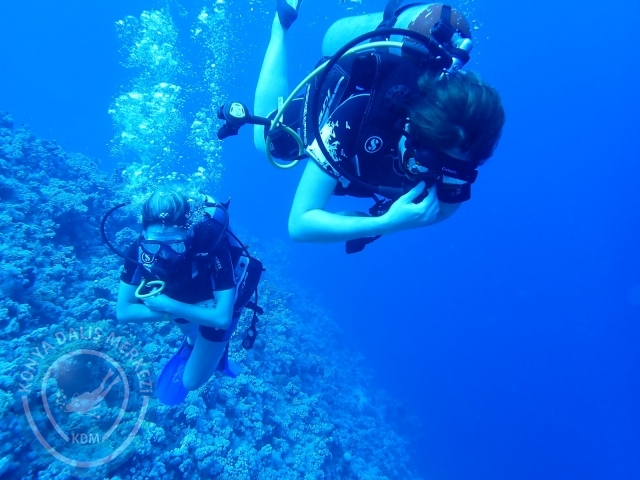 13-18 Mayıs Sharm