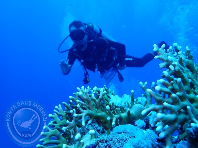 13-18 Mayıs Sharm