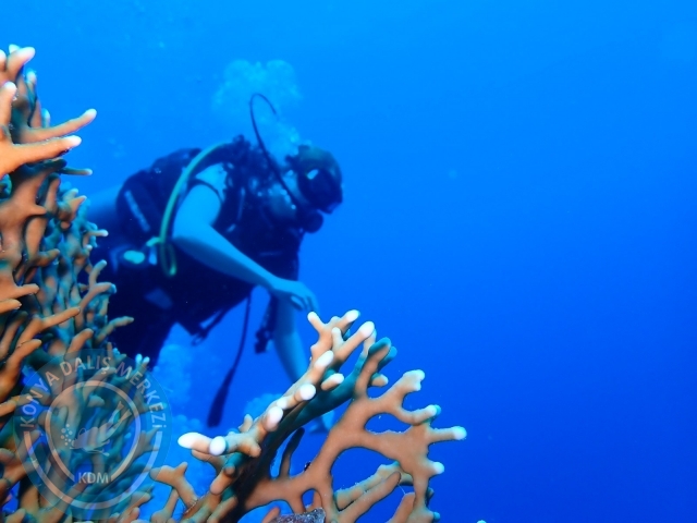 13-18 Mayıs Sharm