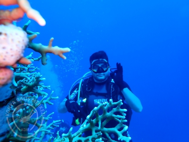 13-18 Mayıs Sharm