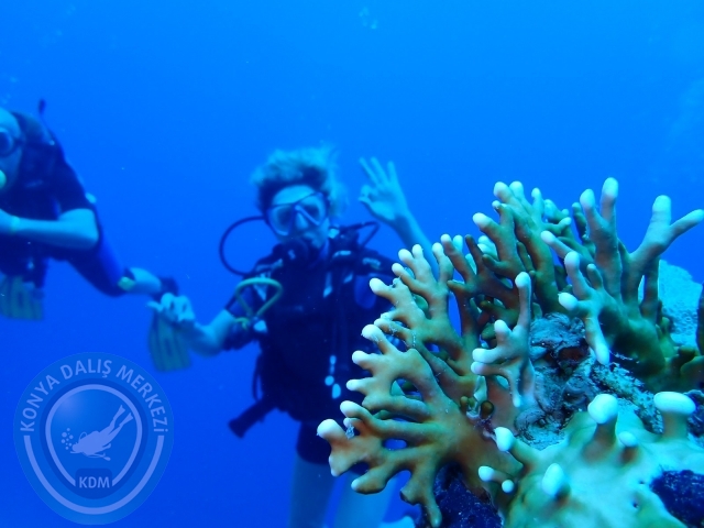 13-18 Mayıs Sharm