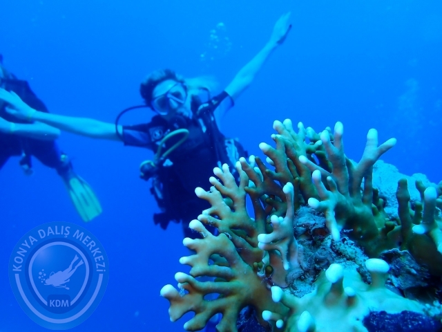 13-18 Mayıs Sharm