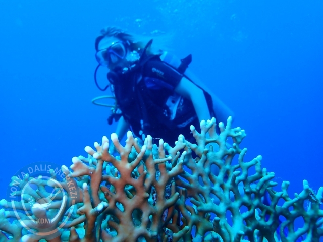 13-18 Mayıs Sharm