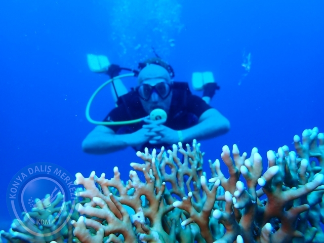 13-18 Mayıs Sharm