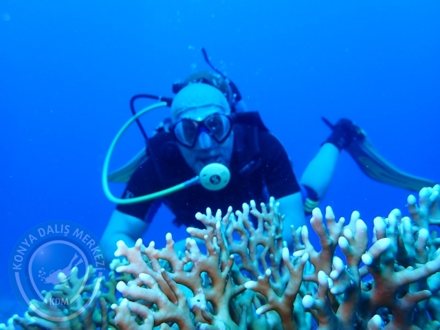 13-18 Mayıs Sharm