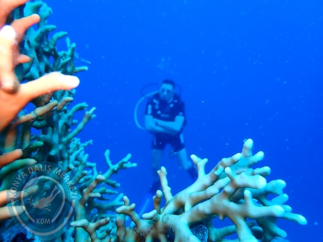 13-18 Mayıs Sharm