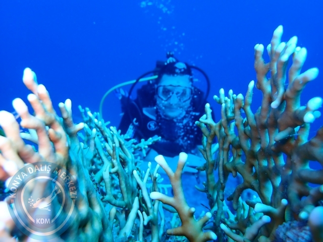 13-18 Mayıs Sharm