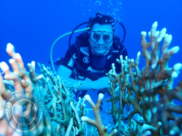 13-18 Mayıs Sharm