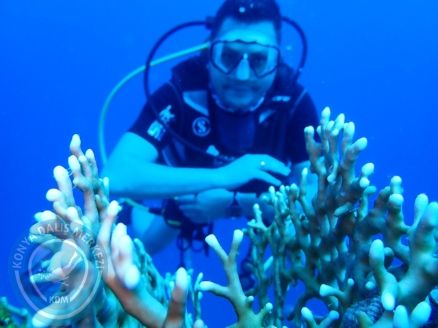 13-18 Mayıs Sharm