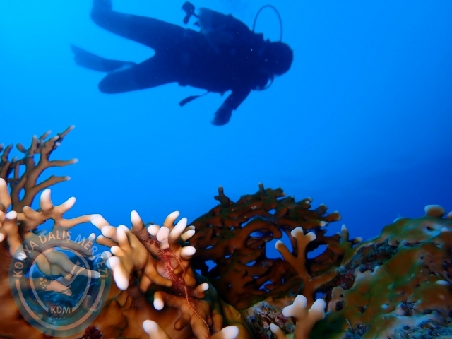 13-18 Mayıs Sharm