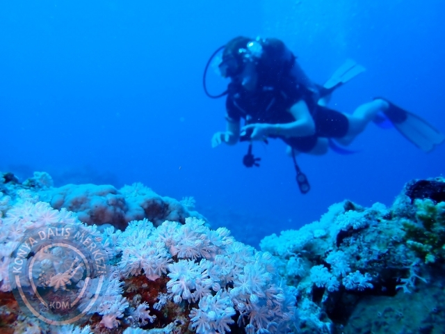 13-18 Mayıs Sharm