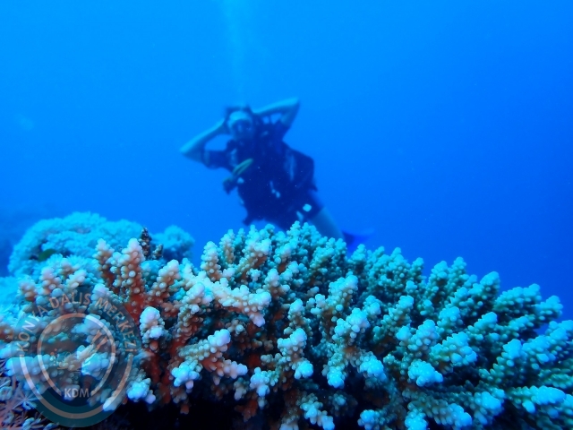 13-18 Mayıs Sharm