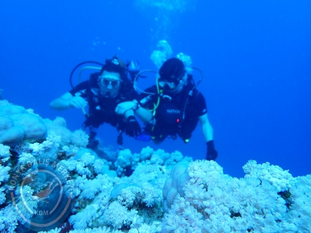 13-18 Mayıs Sharm