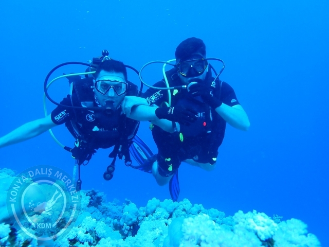 13-18 Mayıs Sharm