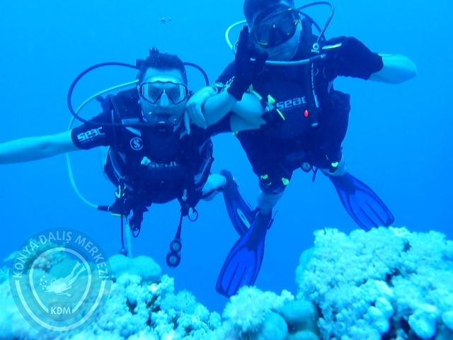 13-18 Mayıs Sharm