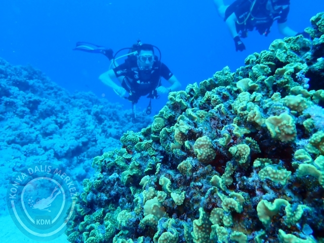 13-18 Mayıs Sharm