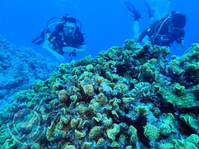 13-18 Mayıs Sharm