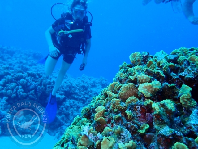 13-18 Mayıs Sharm