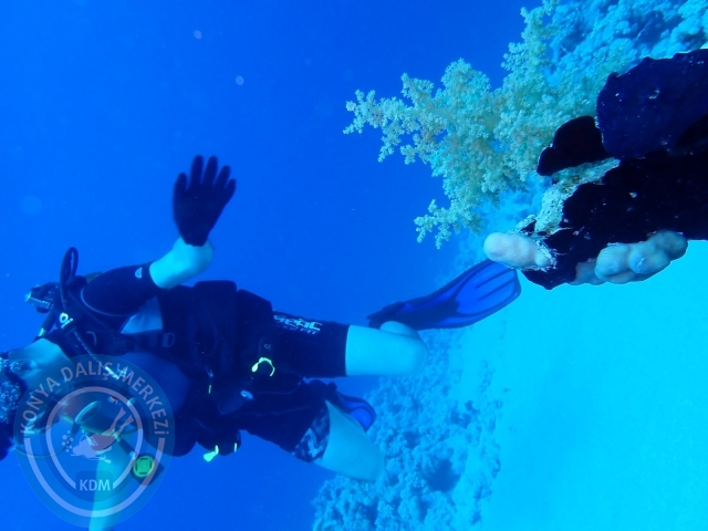13-18 Mayıs Sharm
