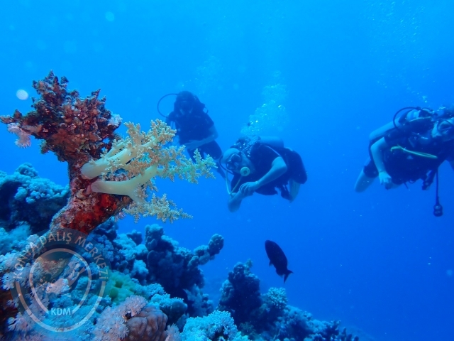 13-18 Mayıs Sharm