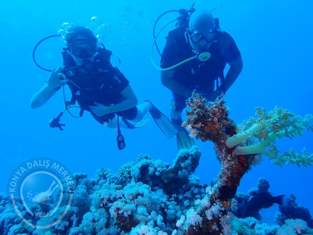 13-18 Mayıs Sharm