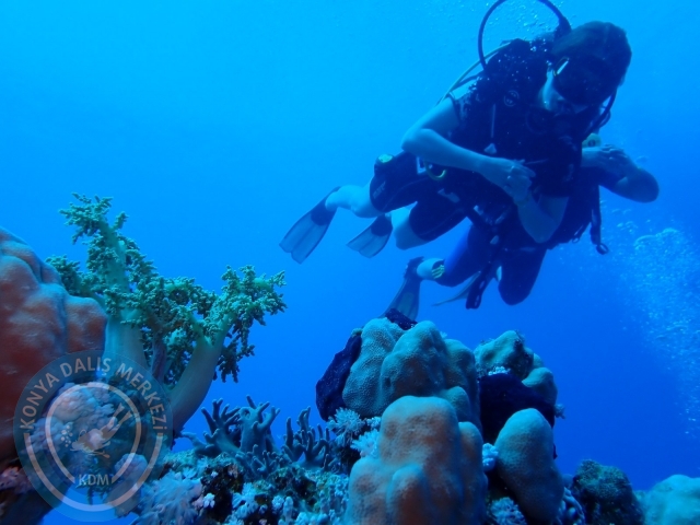 13-18 Mayıs Sharm