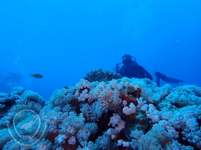 13-18 Mayıs Sharm