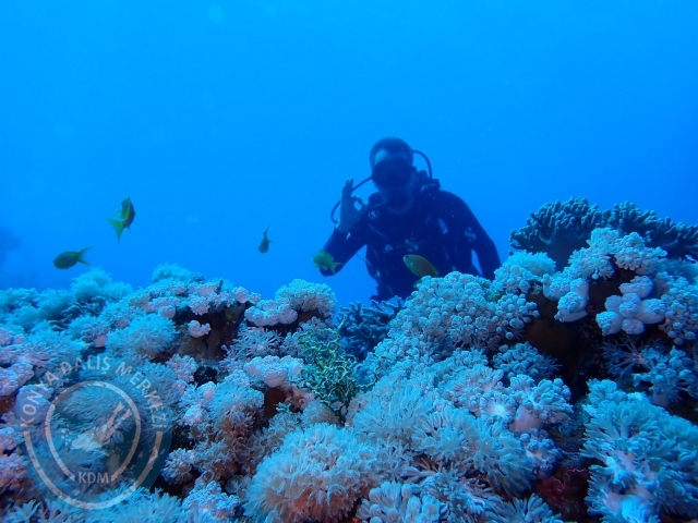 13-18 Mayıs Sharm
