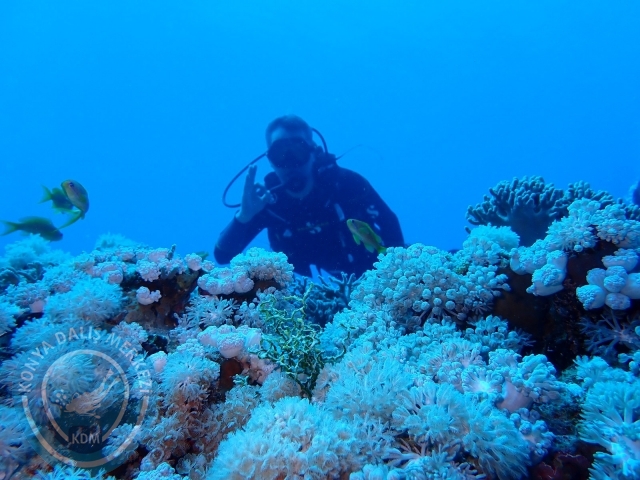 13-18 Mayıs Sharm