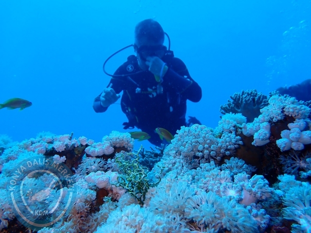 13-18 Mayıs Sharm