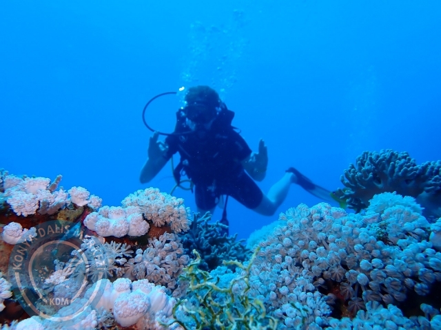 13-18 Mayıs Sharm