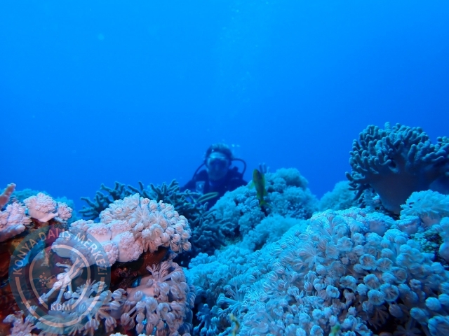 13-18 Mayıs Sharm