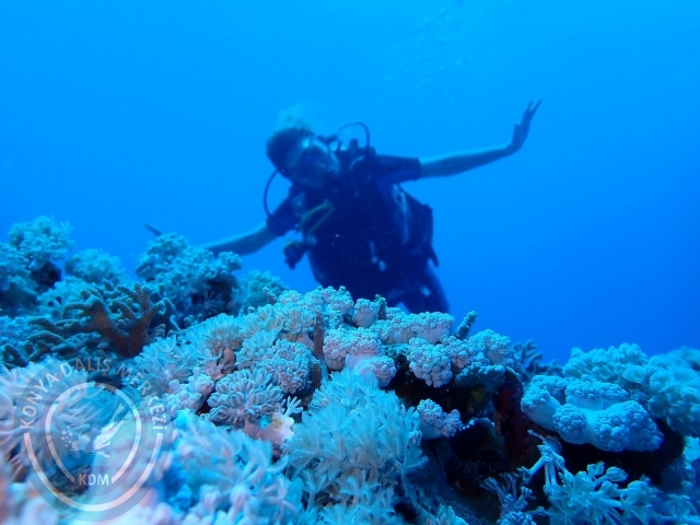 13-18 Mayıs Sharm