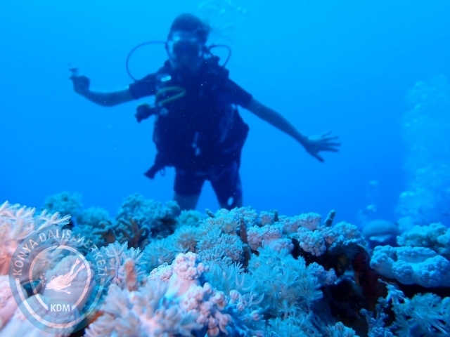 13-18 Mayıs Sharm