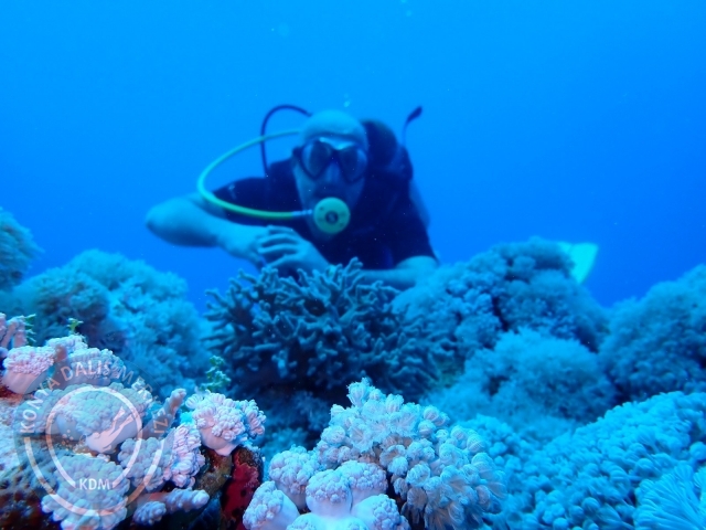 13-18 Mayıs Sharm