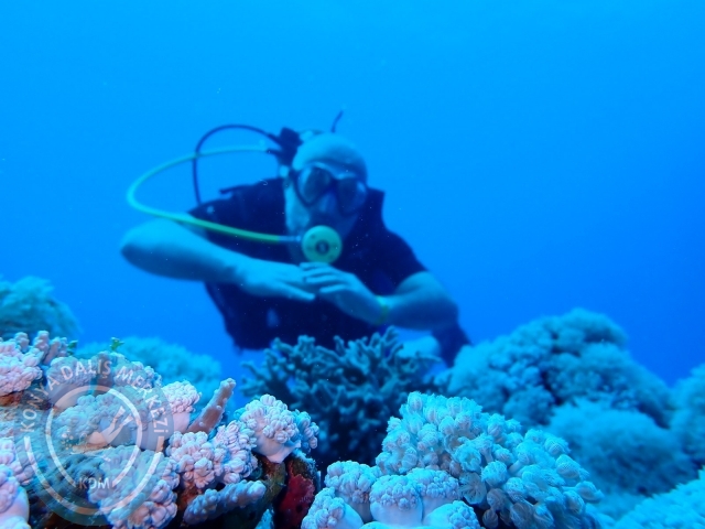 13-18 Mayıs Sharm