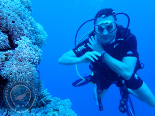13-18 Mayıs Sharm