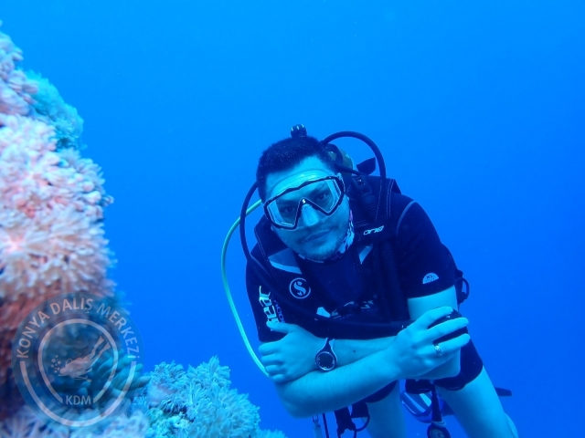 13-18 Mayıs Sharm
