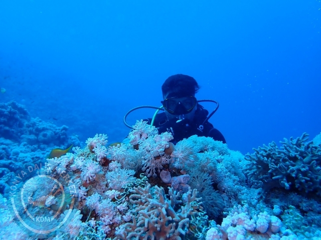 13-18 Mayıs Sharm