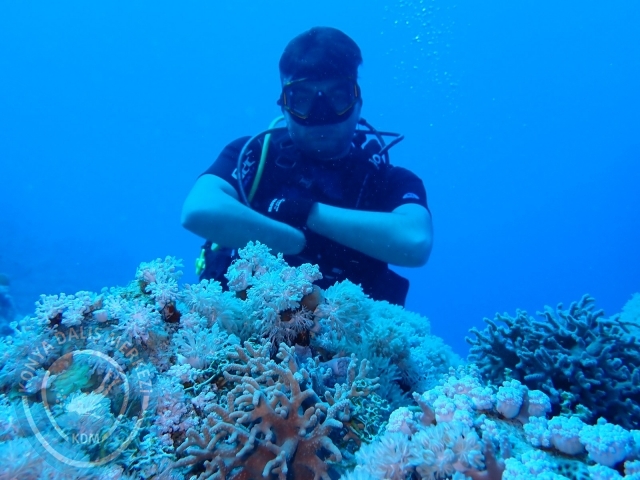 13-18 Mayıs Sharm