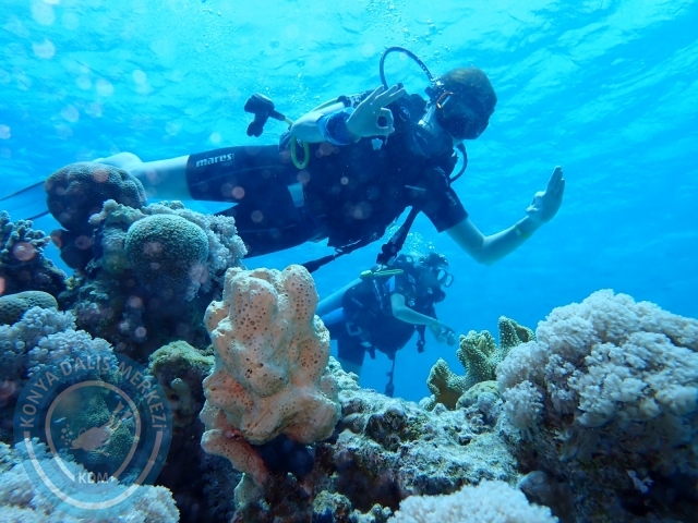 13-18 Mayıs Sharm