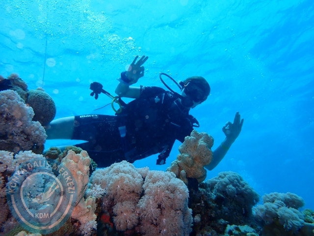 13-18 Mayıs Sharm