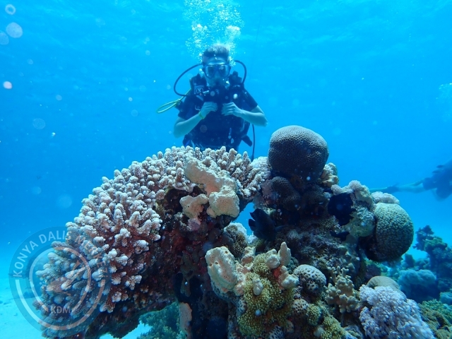 13-18 Mayıs Sharm