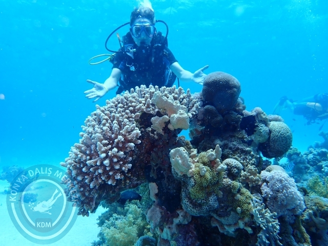 13-18 Mayıs Sharm