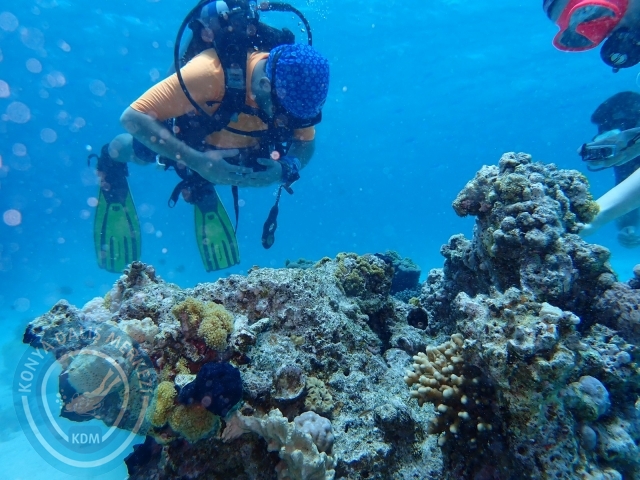 13-18 Mayıs Sharm