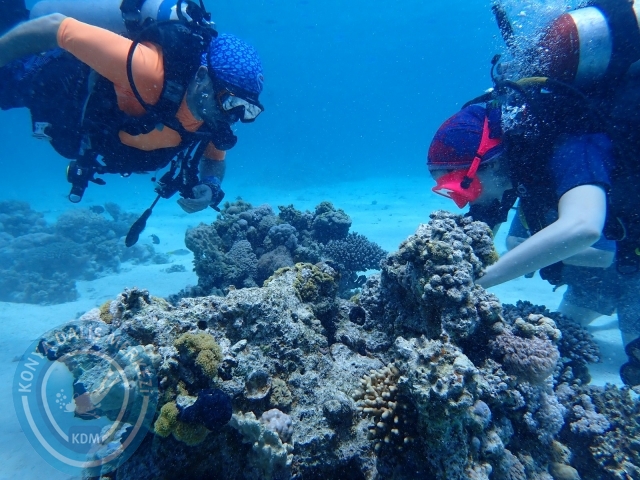 13-18 Mayıs Sharm