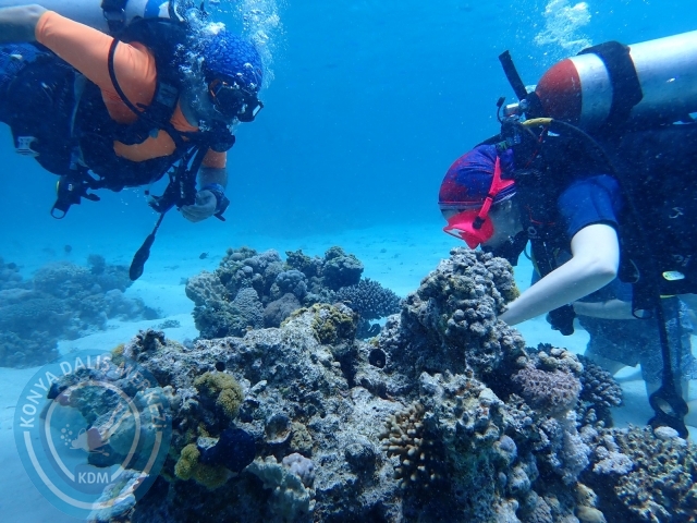 13-18 Mayıs Sharm