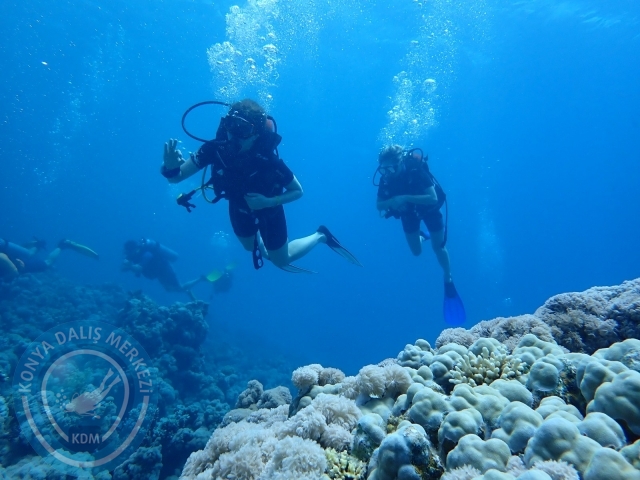 13-18 Mayıs Sharm