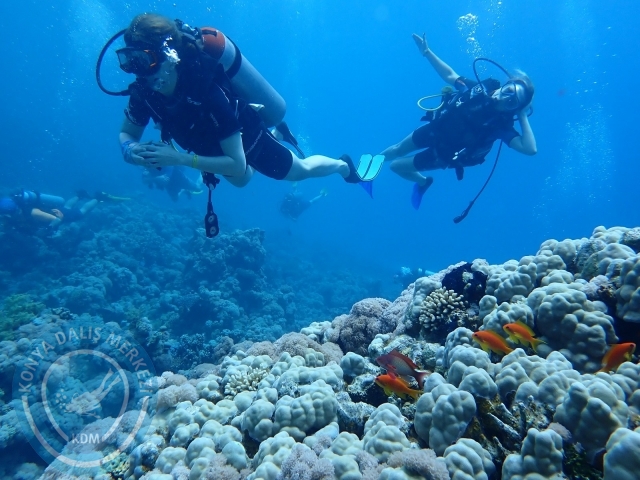 13-18 Mayıs Sharm